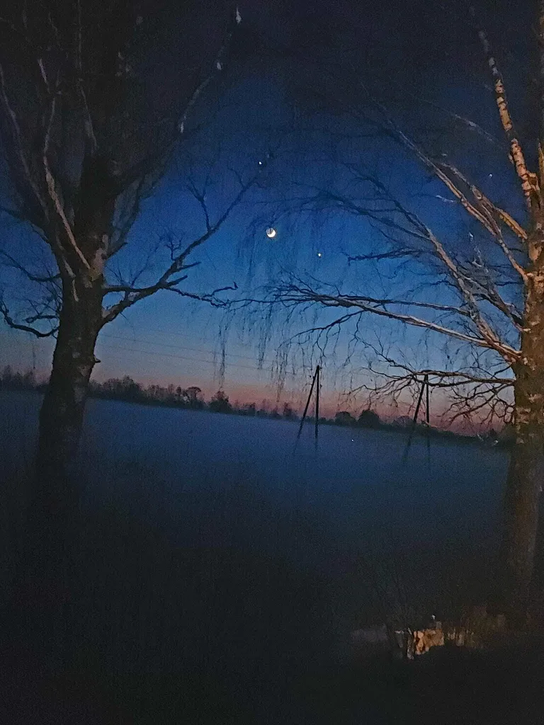 Фото статьи