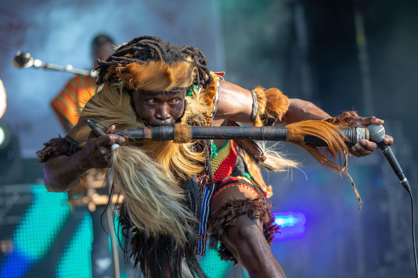 King Ayisoba ja tema bändikaaslaste hüpnootilise rütmiga metsikud meloodiad, kärisev sisendusjõuline vokaal ja otsekohesed lood avaldavad publikule mõju kõigil kontinentidel.