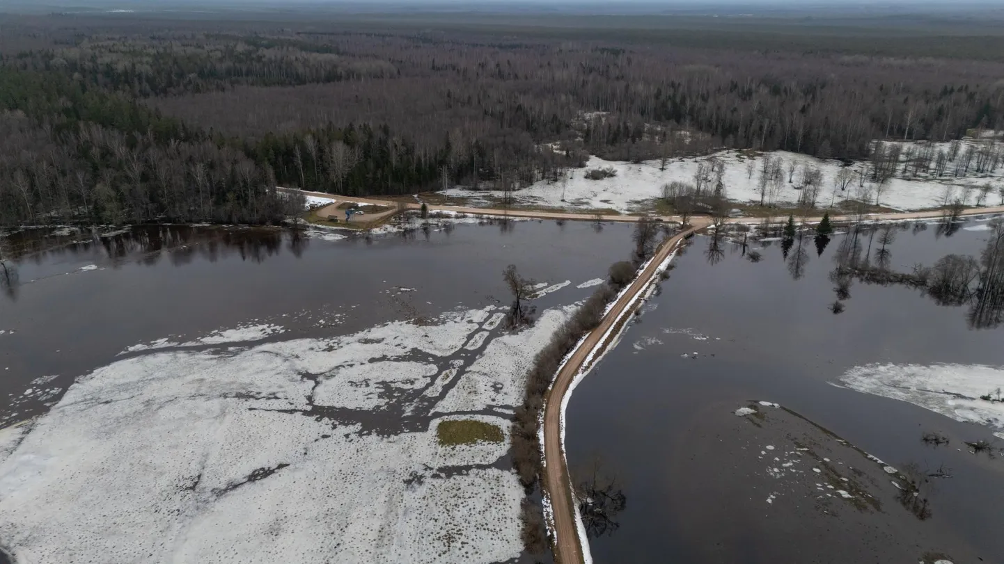 Tänavu näitab Soomaa rahvuspark suurvett juba jaanuaris.