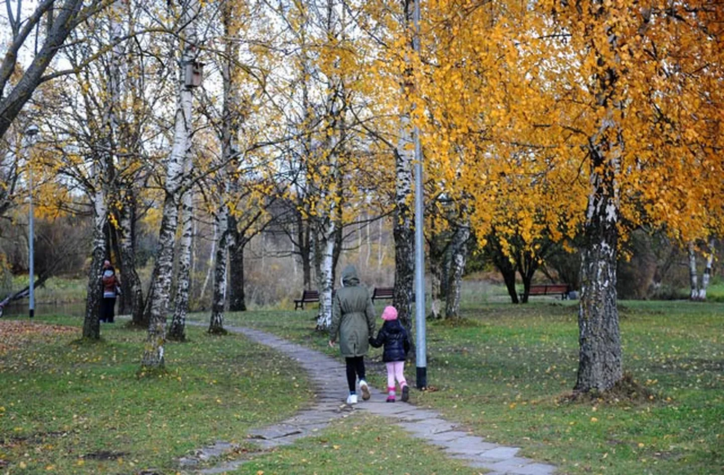 Raksta foto