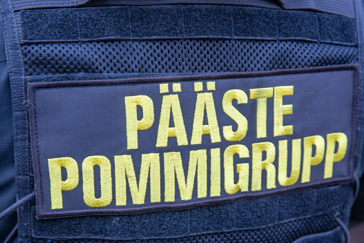 Pommigrupp.