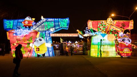Невероятно ярко и красиво: в Таллинне открылся фестиваль гигантских шелковых фонарей «Волшебная страна света»
