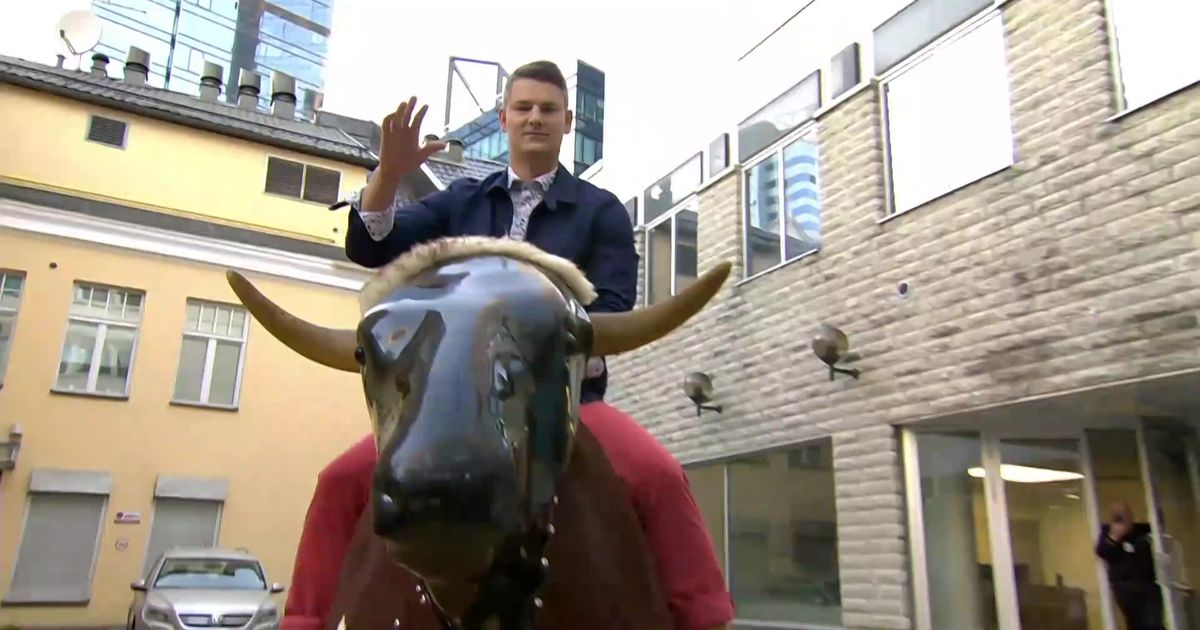 Jüri Butšakov ja Artjom Savitski proovisid otse-eetris rodeo härga taltsutada