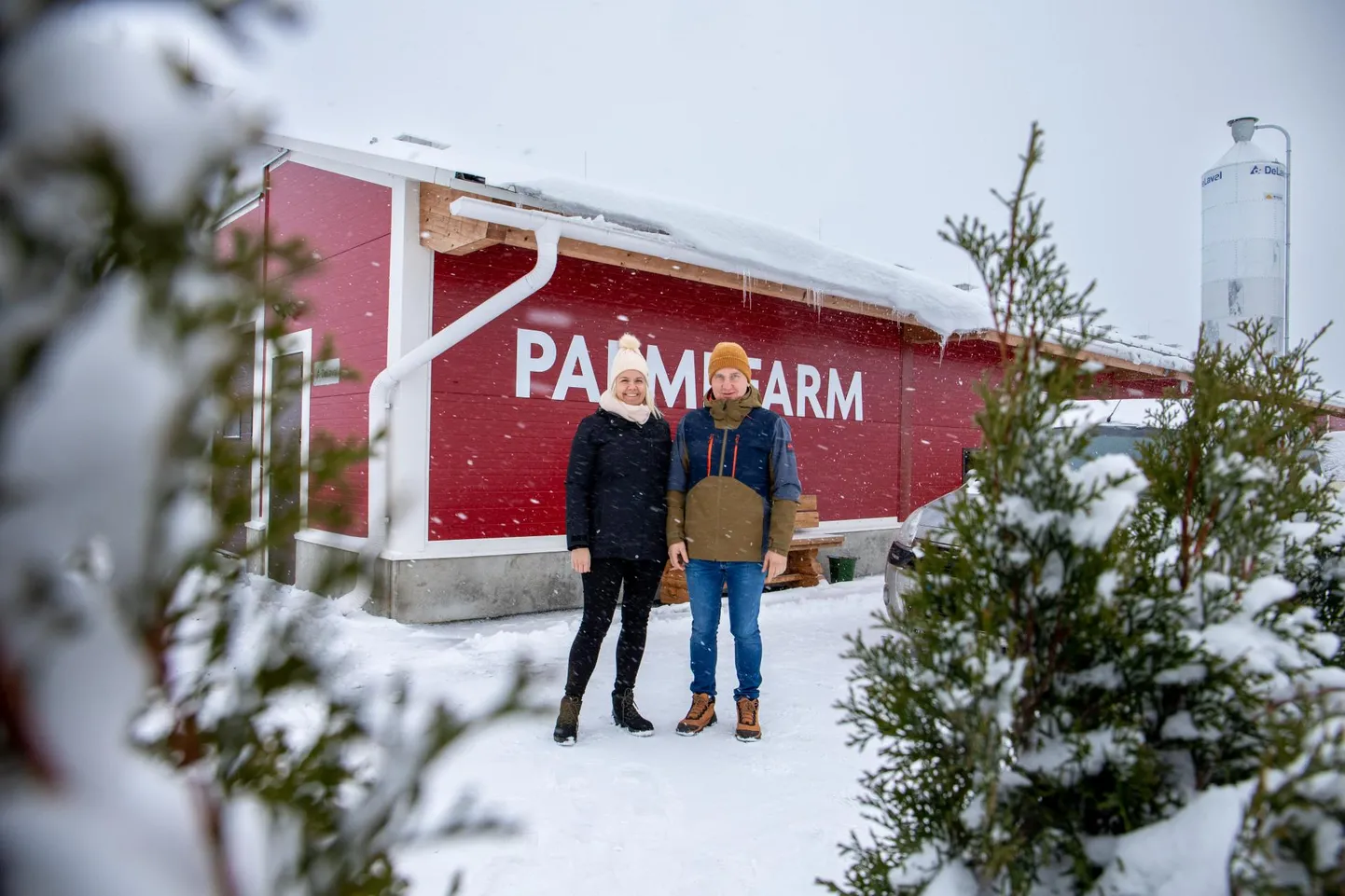 Palmi farm on Pärnumaal uusim robotlüpsilaut, kus majandavad Karoliina Post ja Janno Liiv.