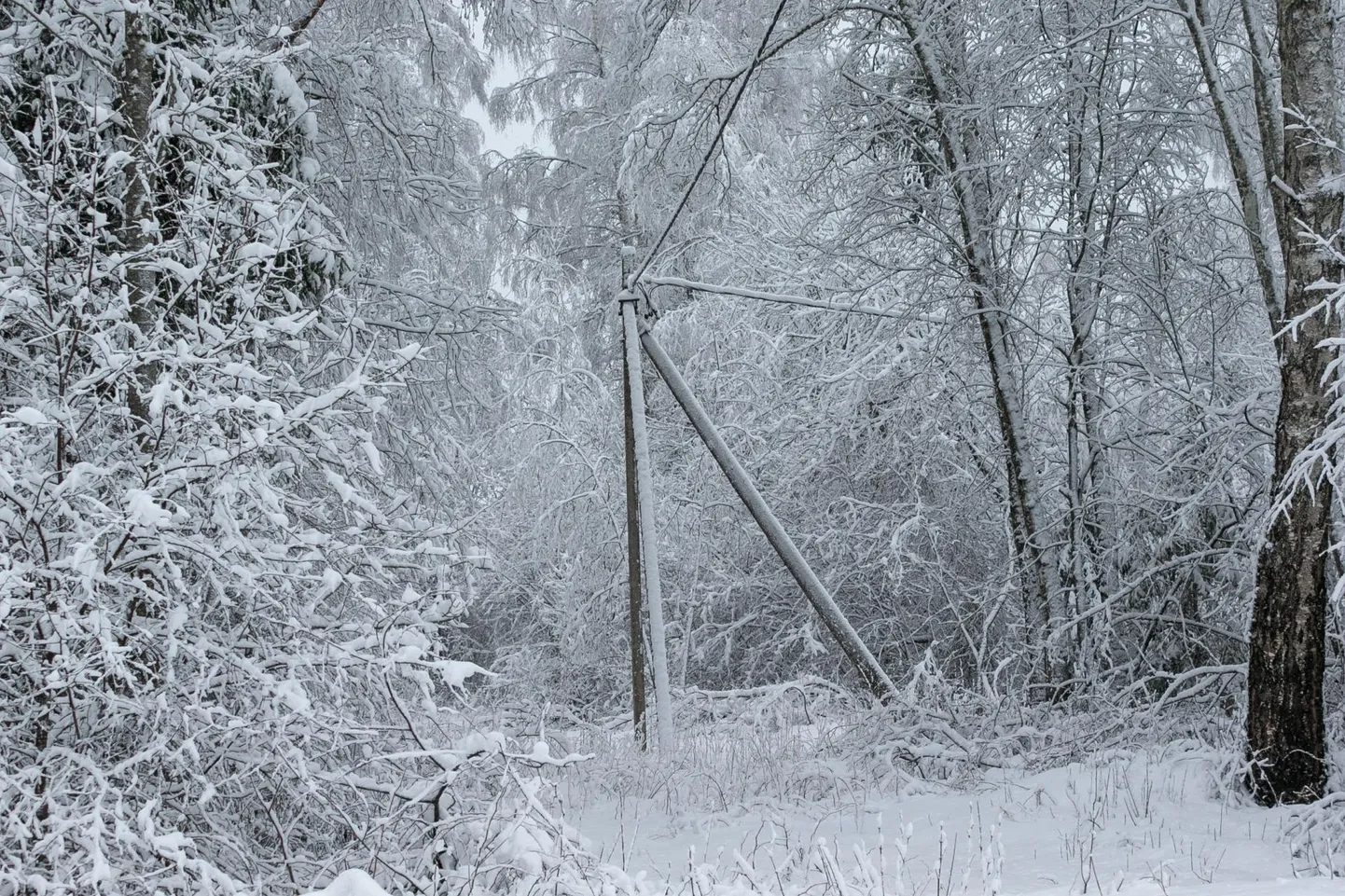 Lumi lõhkus elektriliine. Foto on illustratiivne.