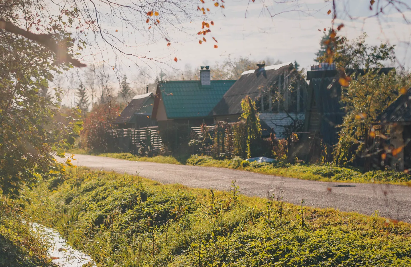 Снимок иллюстративный.