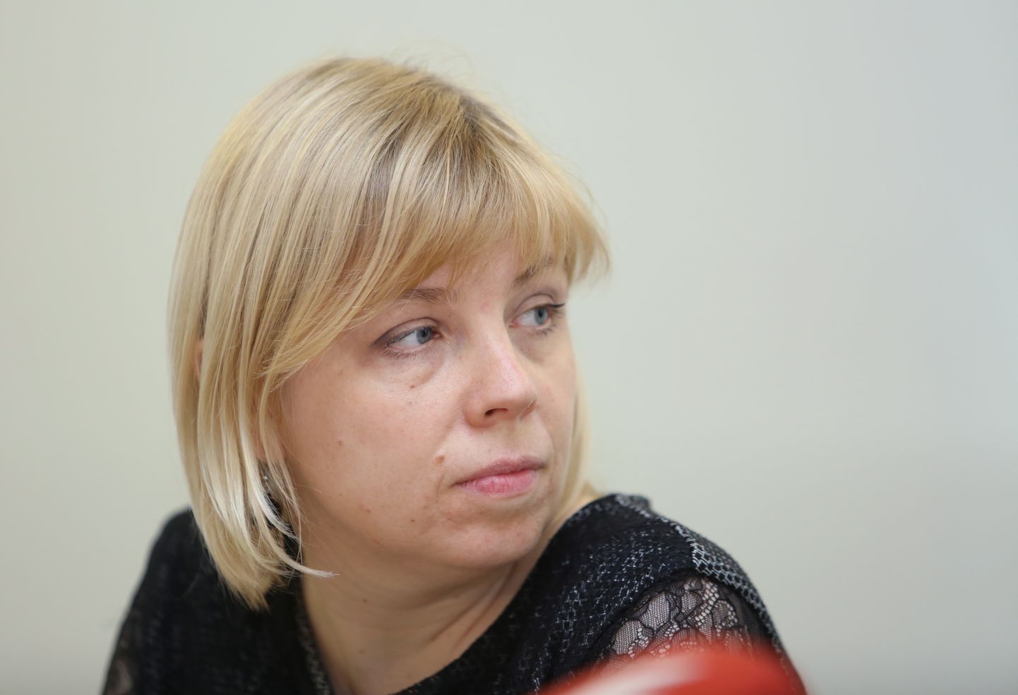 Руководитель отдела информации Центральной избирательной комиссии Кристине Берзиня