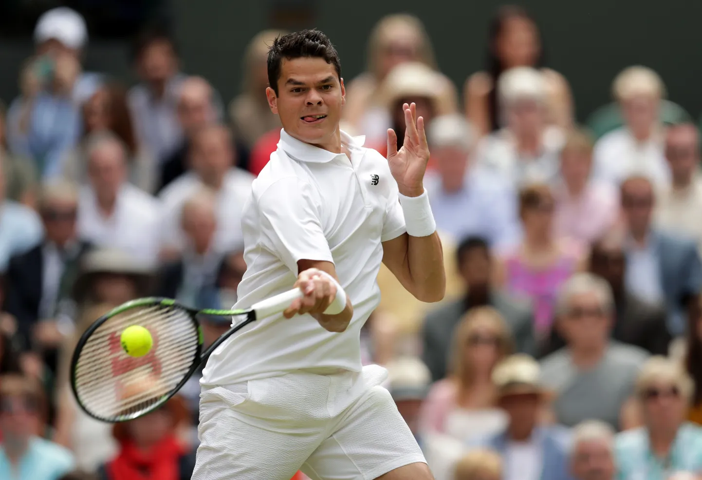 Milos Raonic.