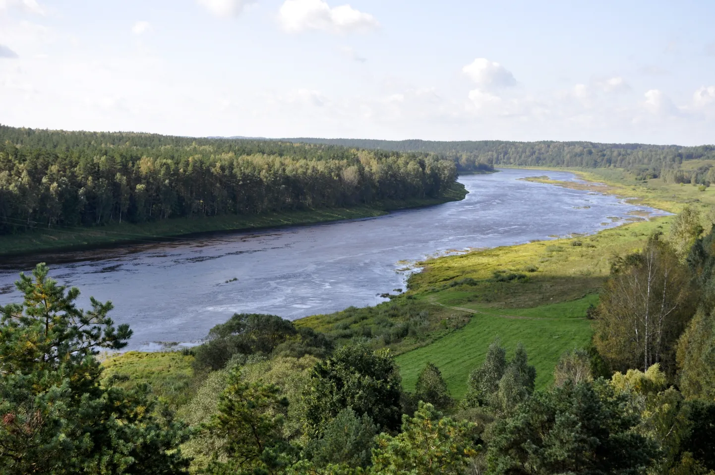 Daugavas loki