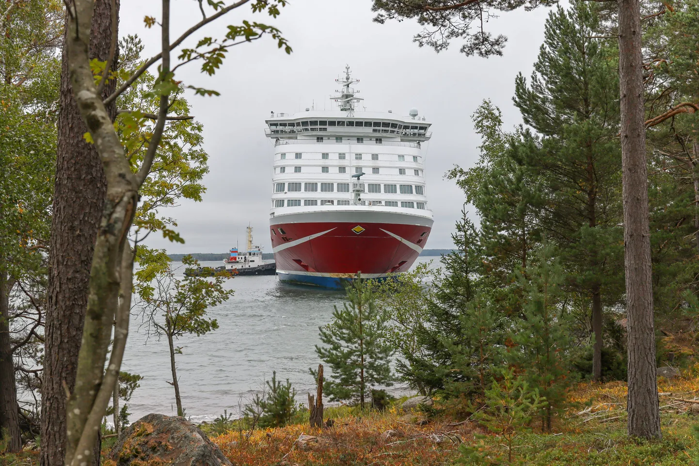 Viking Line müüb Amorella