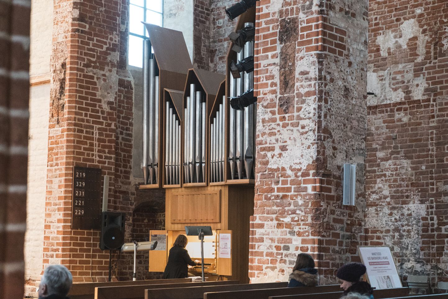Meditatsioonilist palvemuusikat tekstide vahele mängib organist Anna Humal.