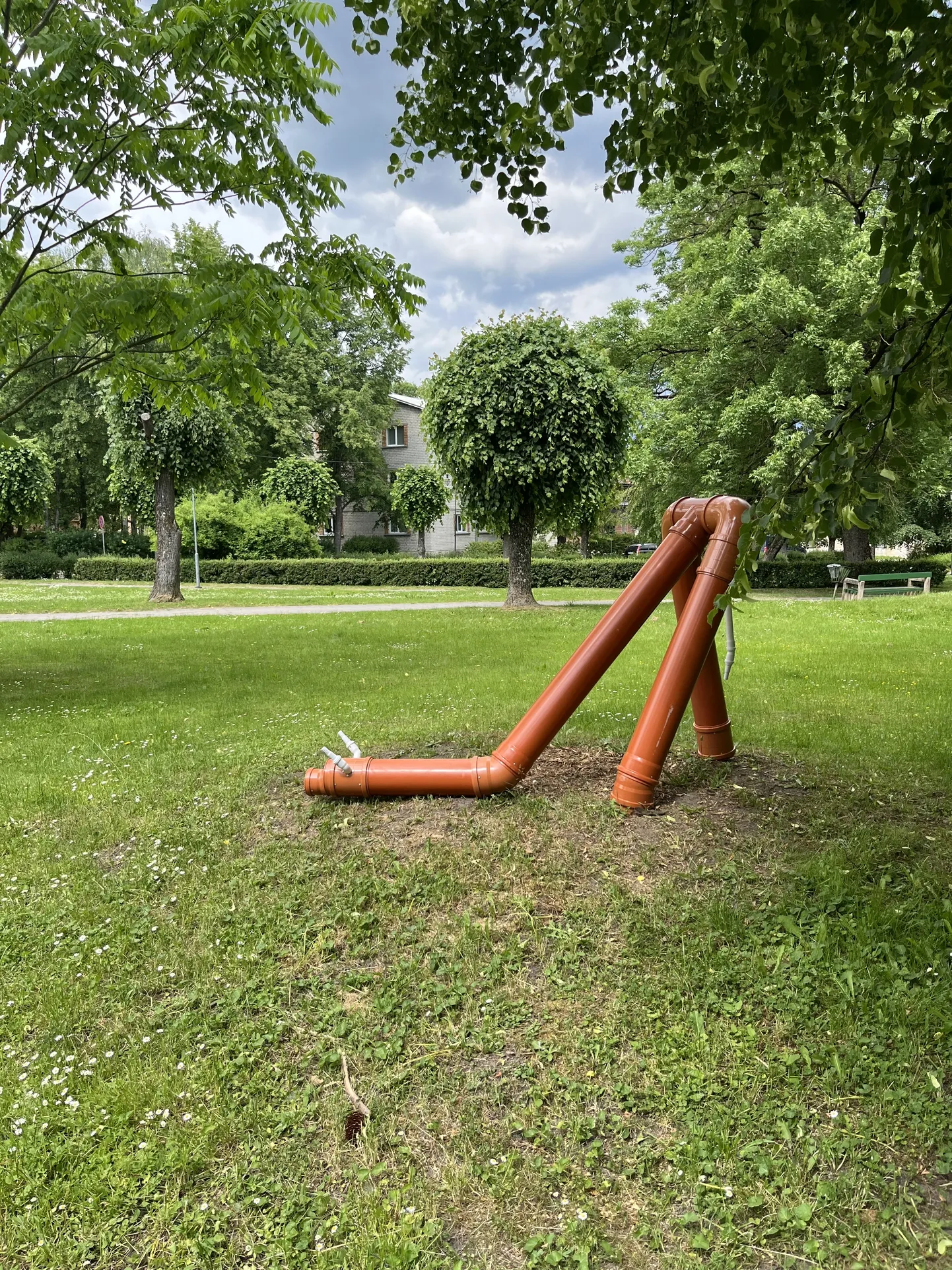 Oto Holgers Ozoliņš. "Ganības", 2024.