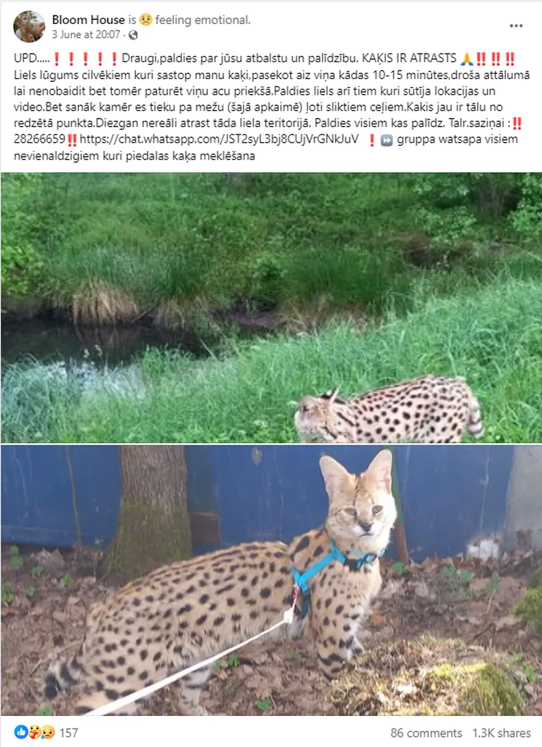 Raksta foto