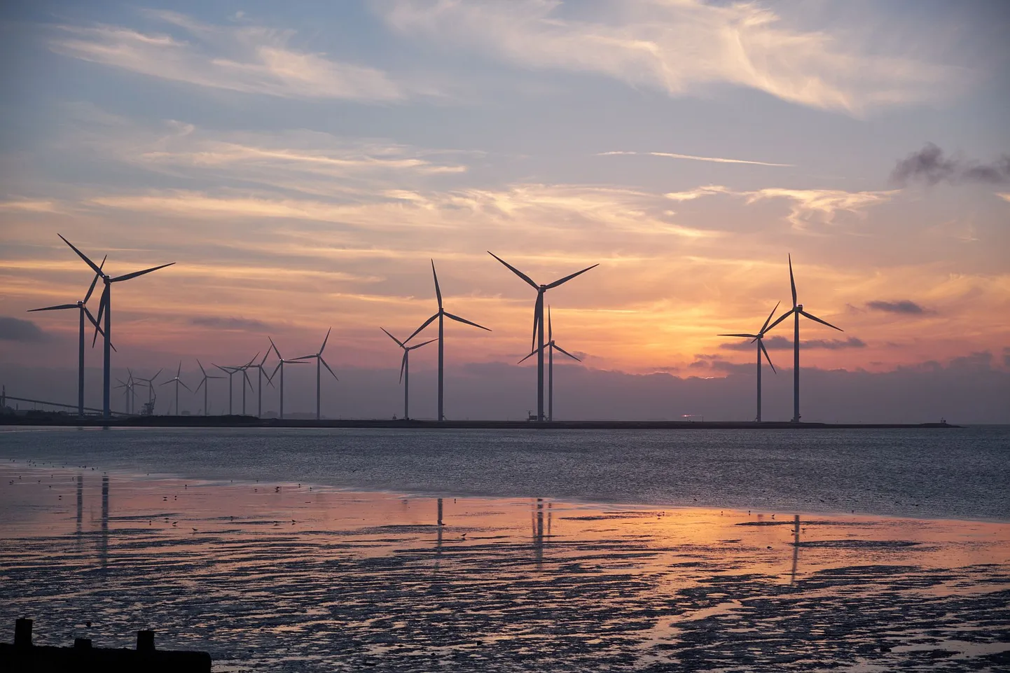 Kui tehisintellekt keerab tuulikuid väga täpselt tuule suunas, võib sellega saadud lisaenergiaga ära toita terve Albaania riigi jagu rahvast.