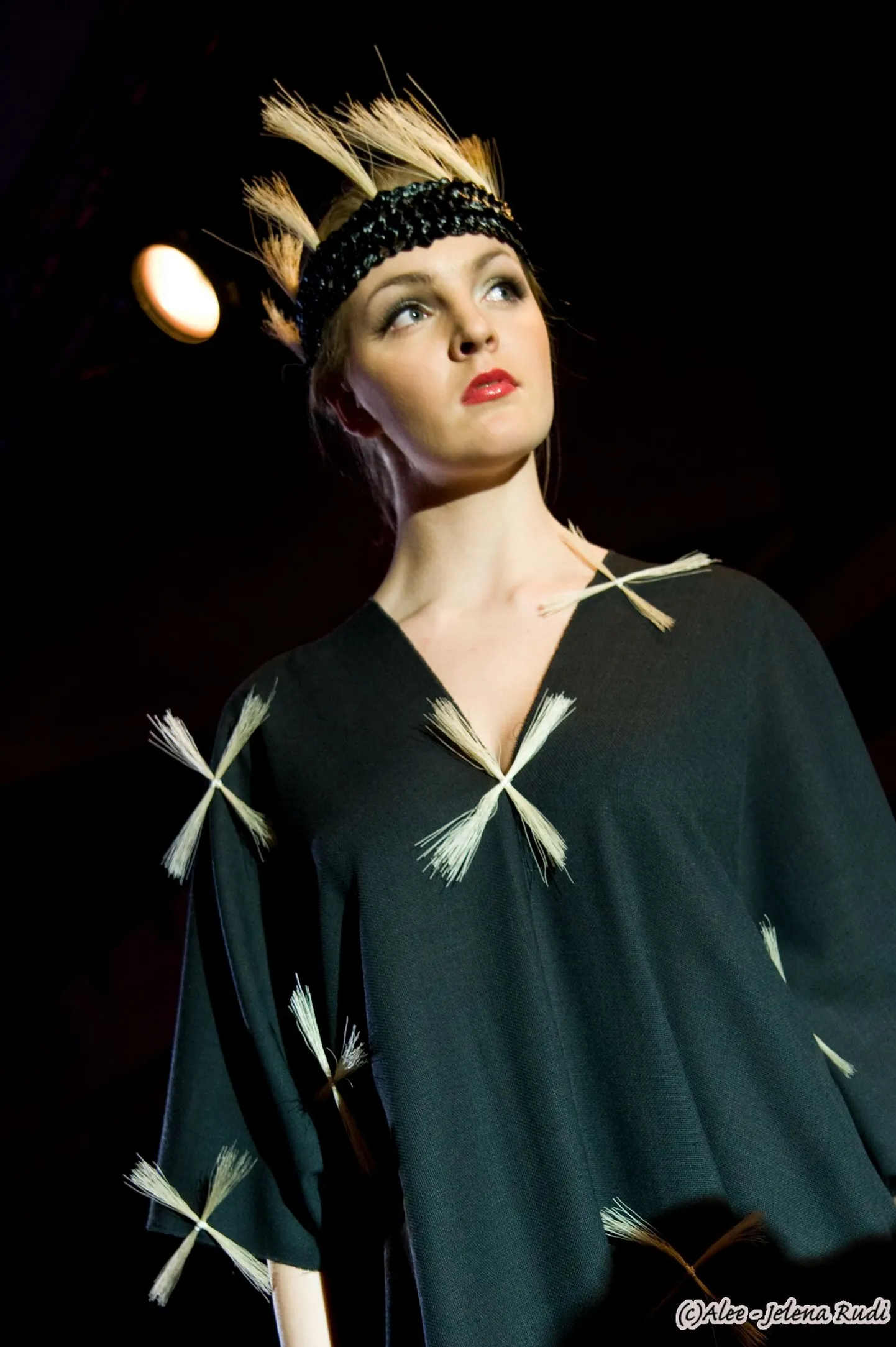 FIBIT 2009 - Kuldnõela gala