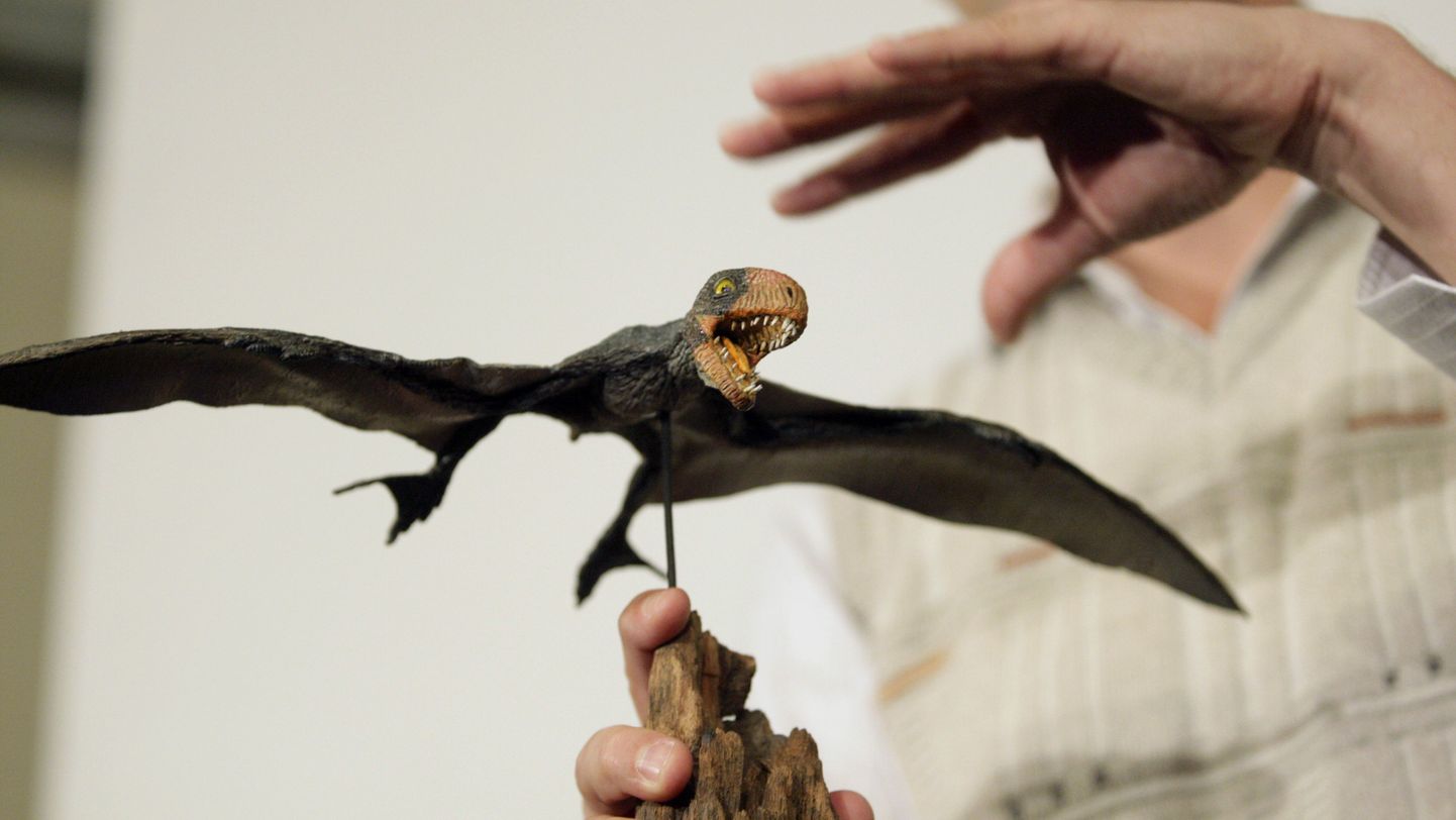 Paleontoloogid: pterosaurused kasutasid «õhkutõusmis-ja maandumisrada»