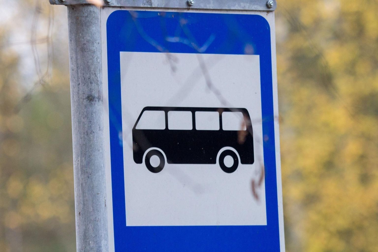 Bussipeatus.Foto on illustreeriv.