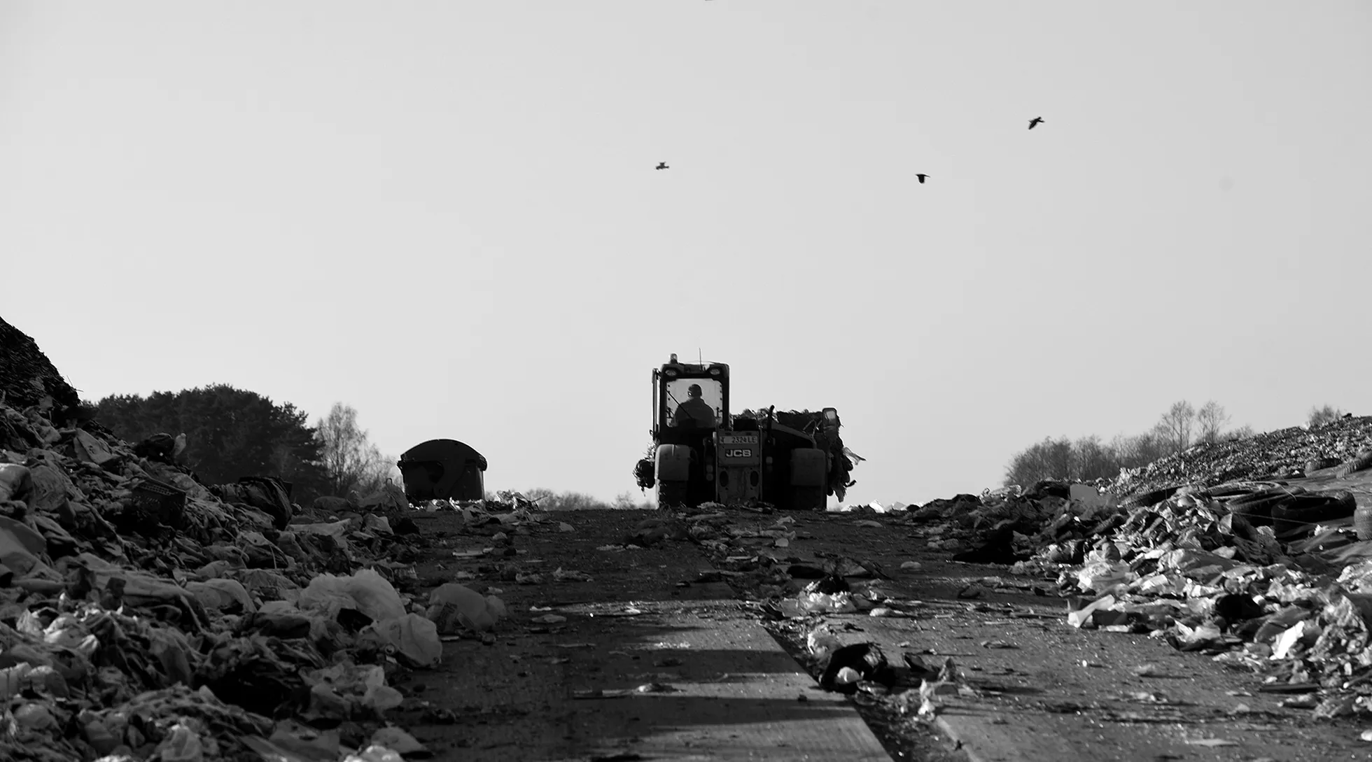 Фото статьи