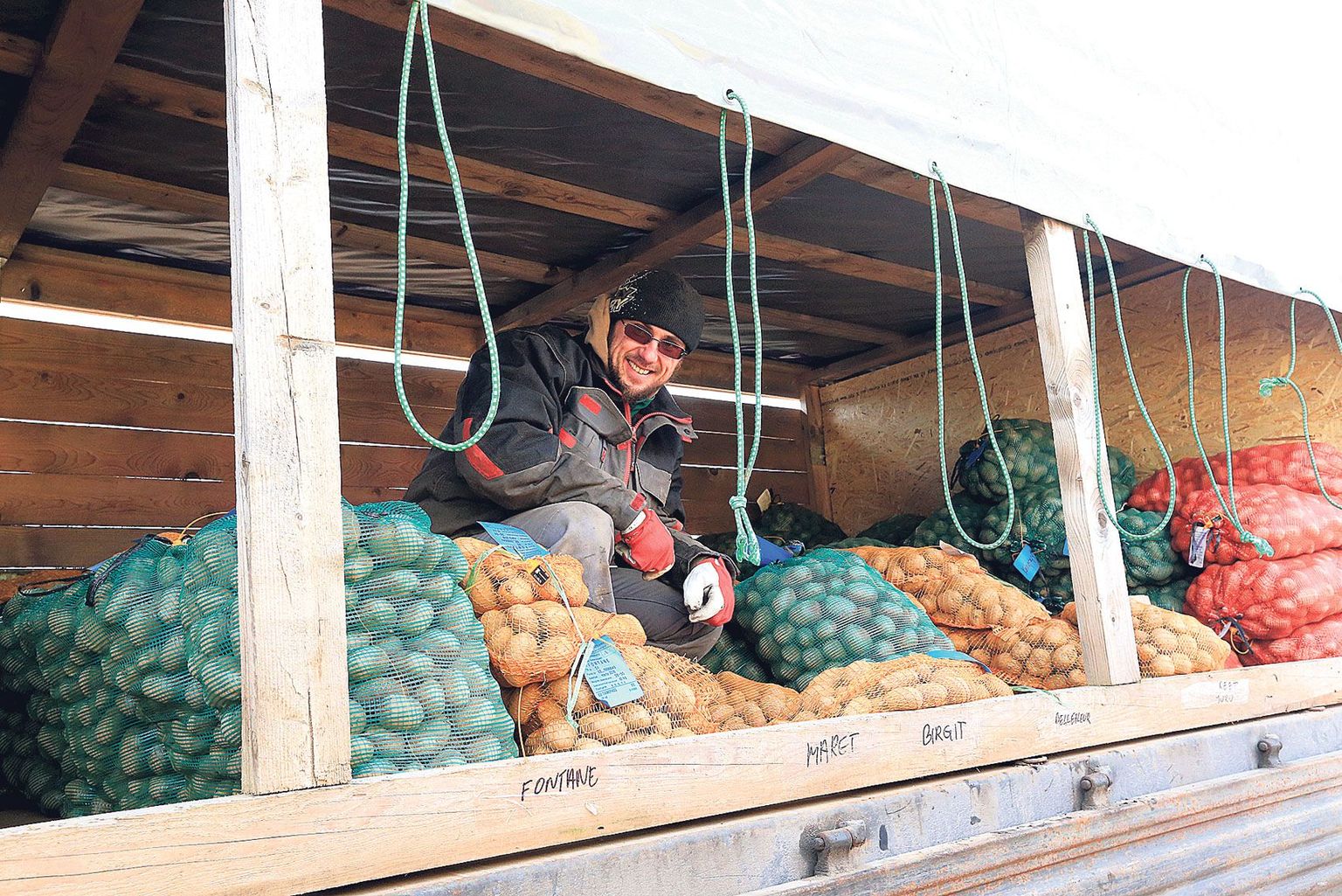 Eesti taimekasvatuse instituudi töötaja Rein Karu ja ta kolleegid tõid eile Jõgevalt maamessile suure veoautokoorma seemnekartulit.