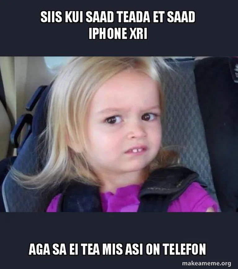 Meemikonkursile "Rõõmud ja mured digimaailmas" esitatud töö.