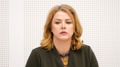 Силиня: латышский язык в общественных СМИ необходимо усилить