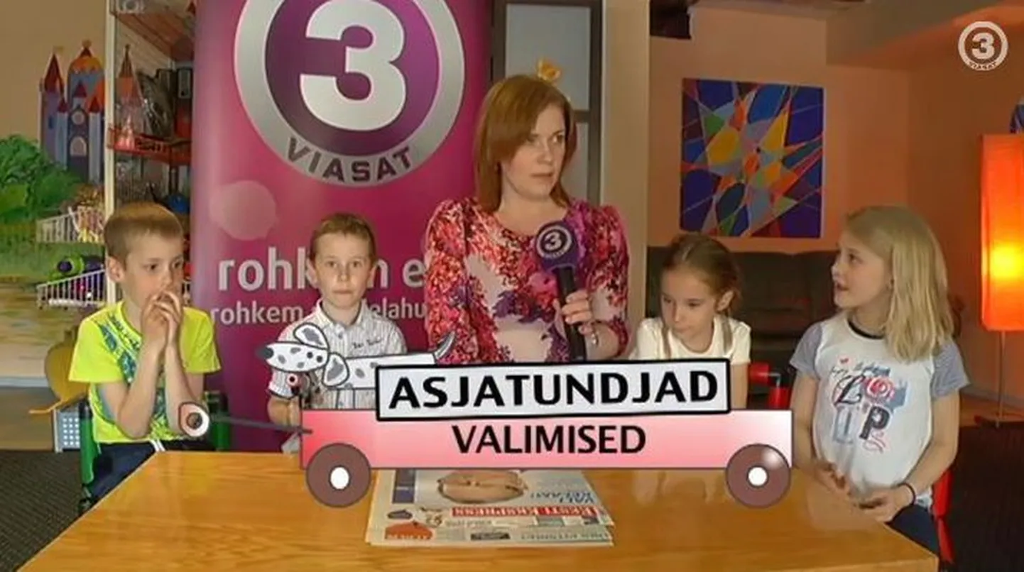 Väikesed asjatundjad Euroopa Parlamendi valimistest