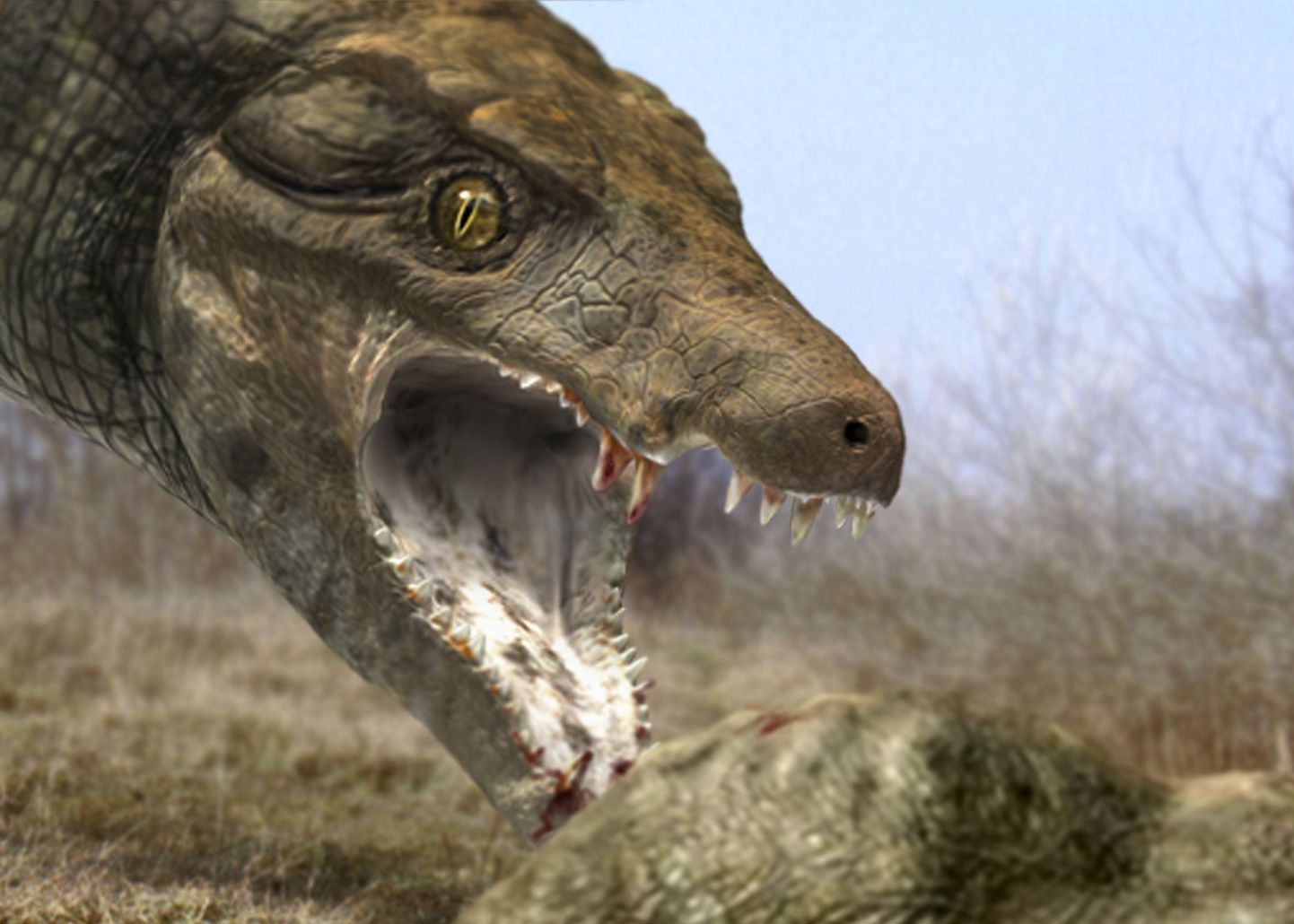 Arvutijoonis eelajaloolisest krokodillistMontealtosuchus arrudacamposist