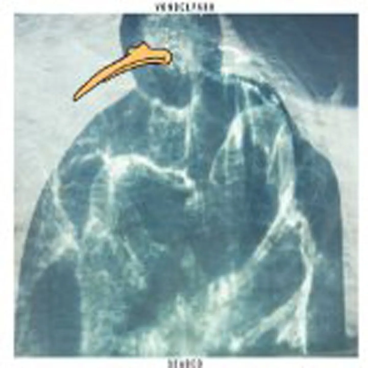 Vondelpark
Seabed 
(R&S)
