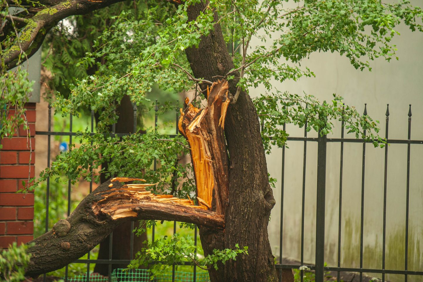 Foto: Miglas žēlots rīts Tukumā pēc vētras