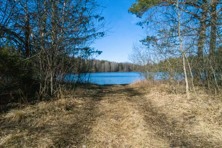 Otse Lemküla järve kaldale viib metsatee.
