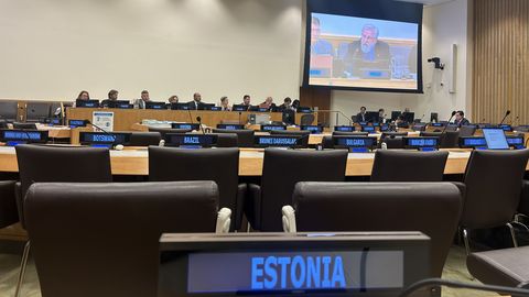 В ООН представили разработанную в Эстонии технологию, распознающую даже самые незаметные суда