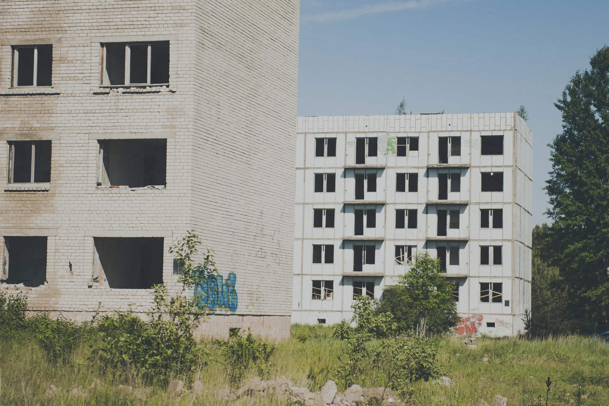 Фото статьи
