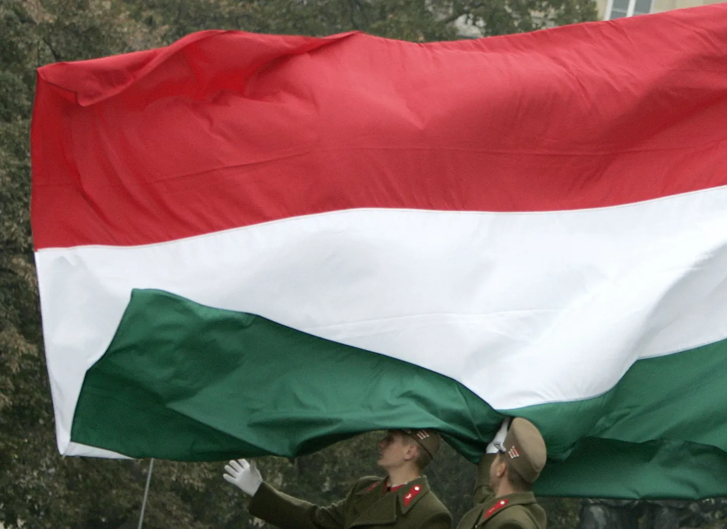 Ungari riigilipp