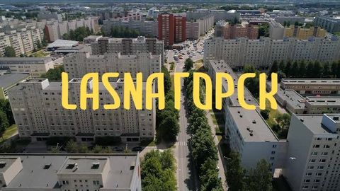 Убытки компании, снявшей сериал «LasnaГорск», составили в 2018 году более 30 000 евро