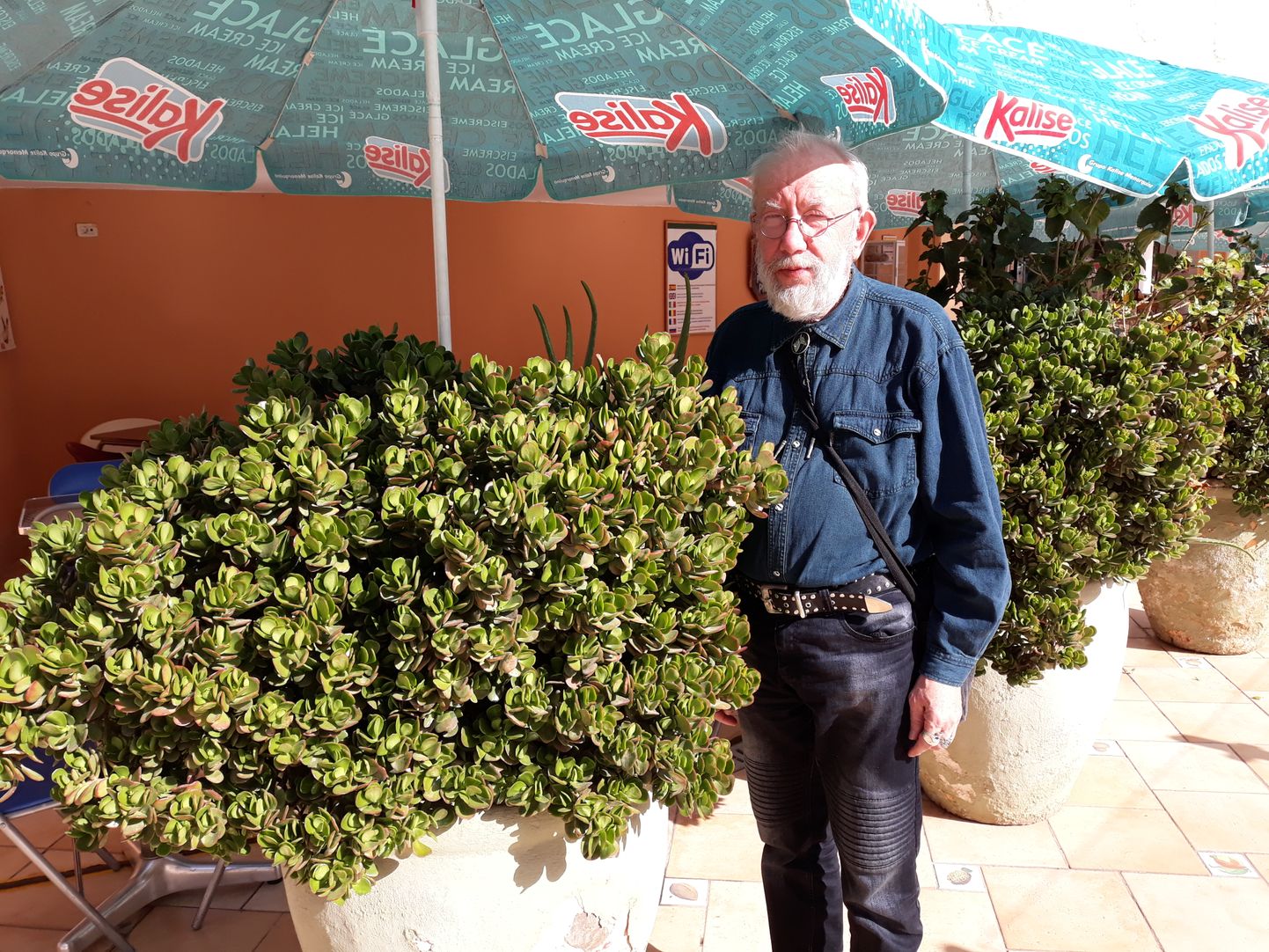 Loo autor, Toivo Niiberg külastas äsja Tenerifet ja seal kasvavad turdlehed õues.