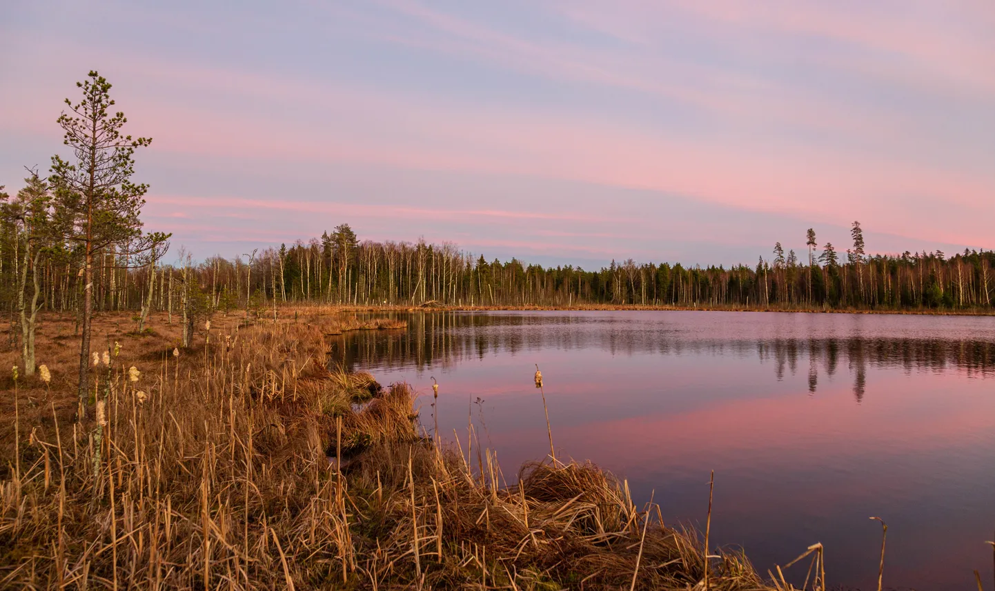 Teringi raba.



Foto: Arvo Meeks / Lõuna-Eesti Postimees