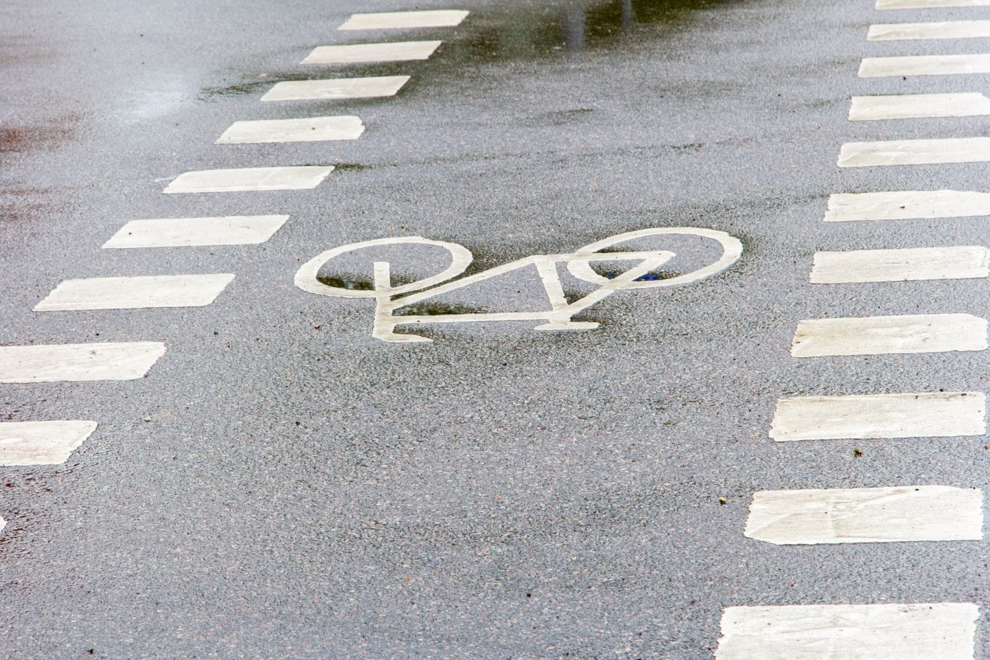 Велосипедная дорожка. Иллюстративное фото.