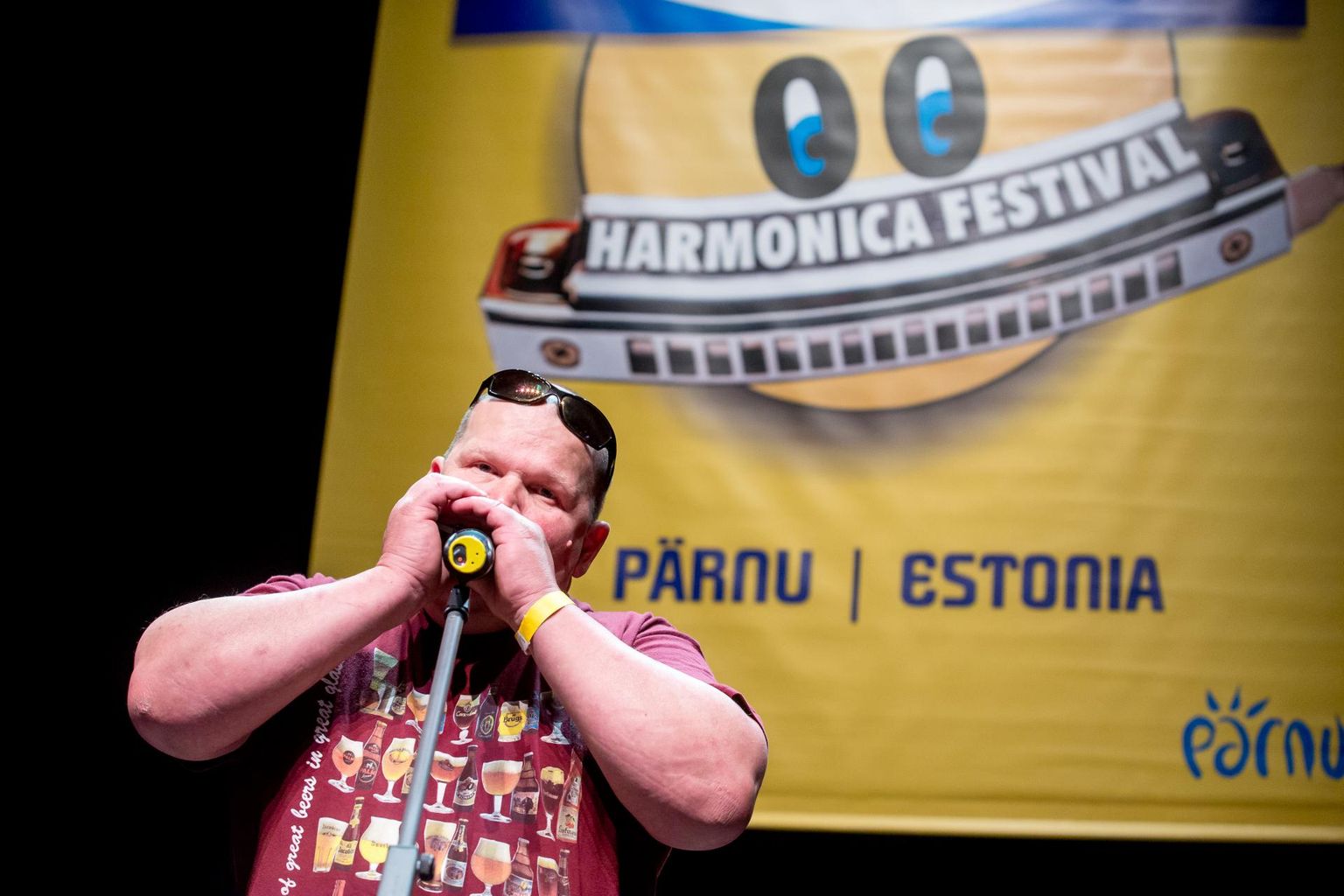 Mullune Harmonica festival.