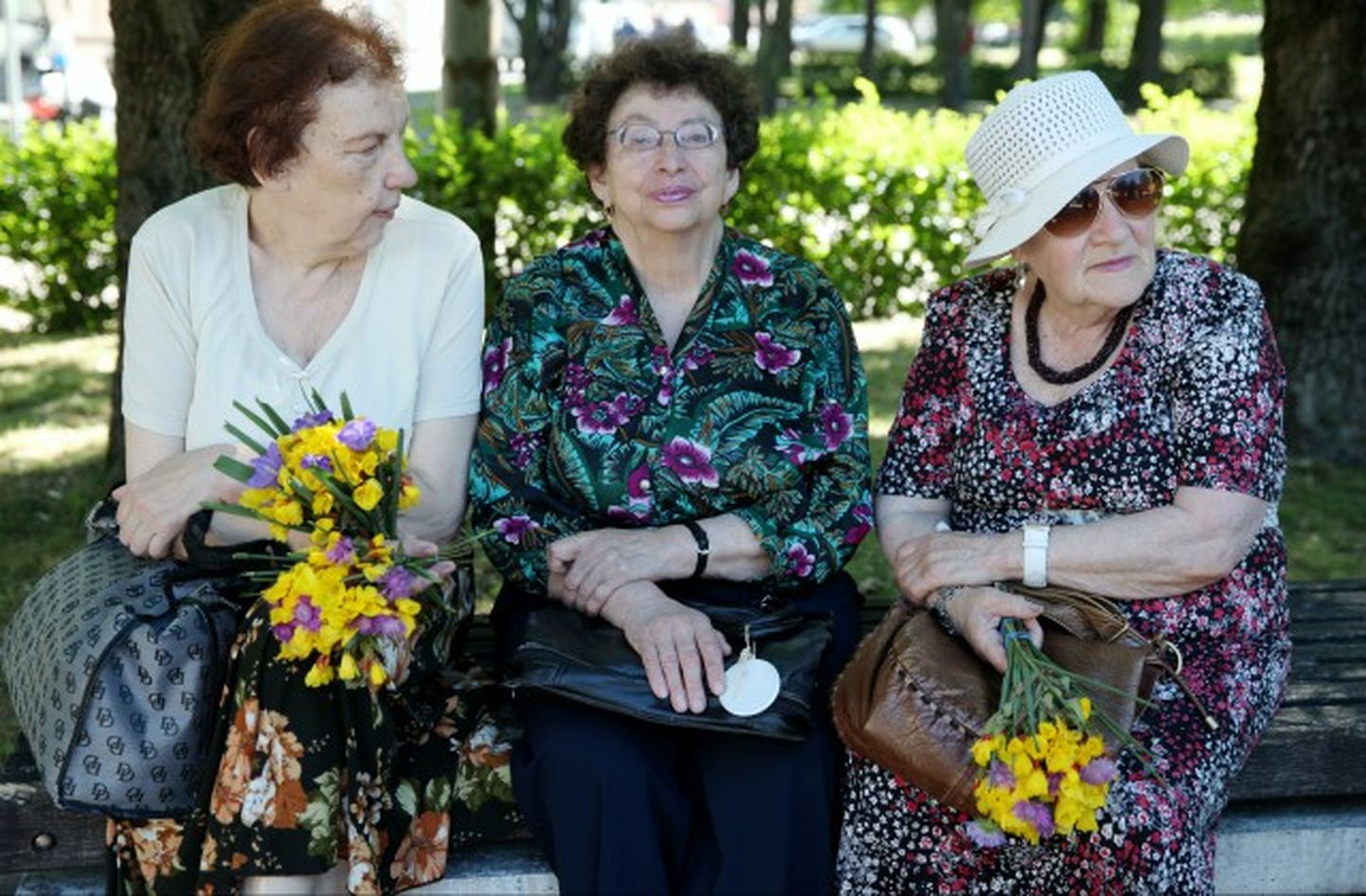 Пенсионеры на скамейке в парке. Иллюстративное фото