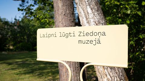 VIEDOKLIS ⟩ Valsts finansējums pienākas Rainim vai Ojāram Vācietim, bet Imantam Ziedonim – nē?