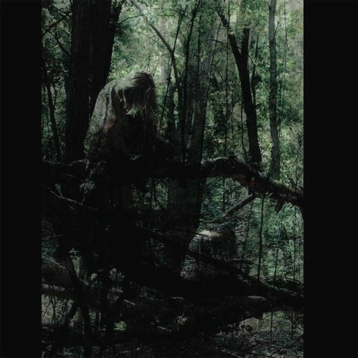 Anamai- Sallows