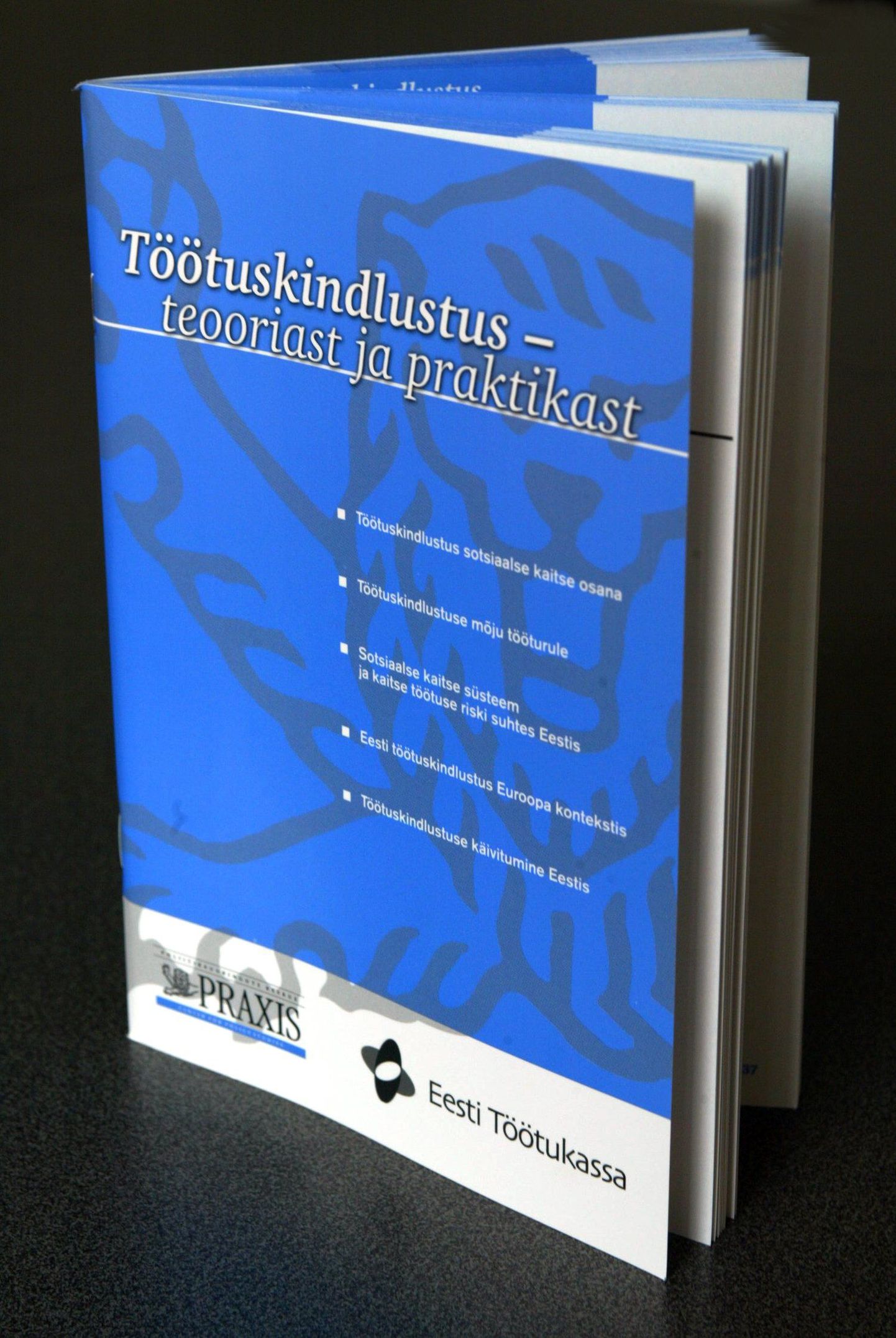 Eesti Töötukassa poolt 2004. aastal välja antud raamat «Töötuskindlustus - teooriast ja praktikast».