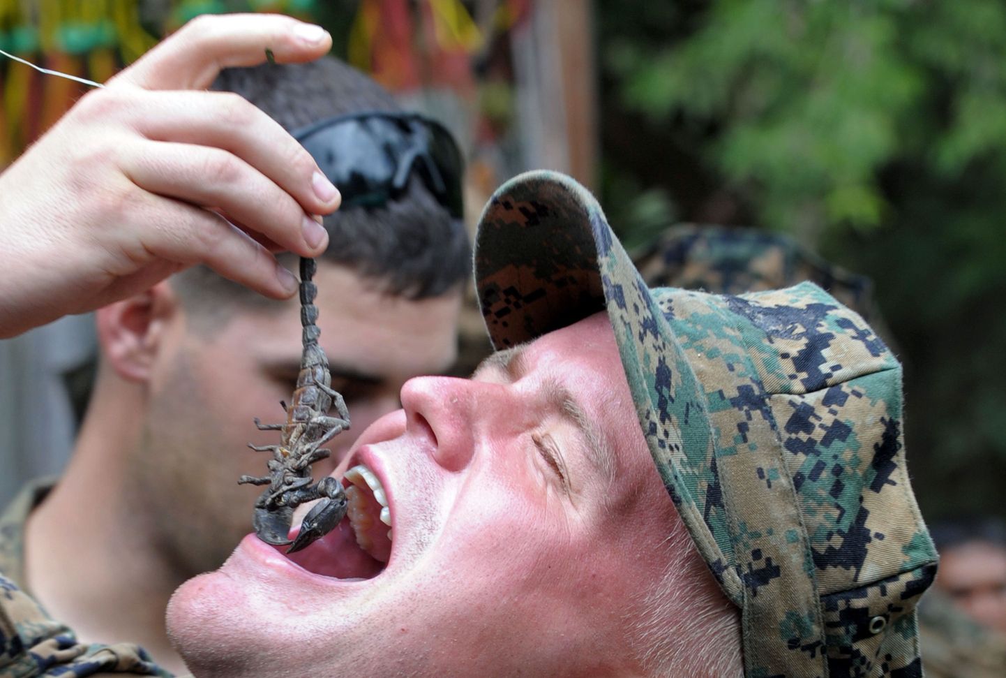 USA merejalaväelane skorpionit söömas