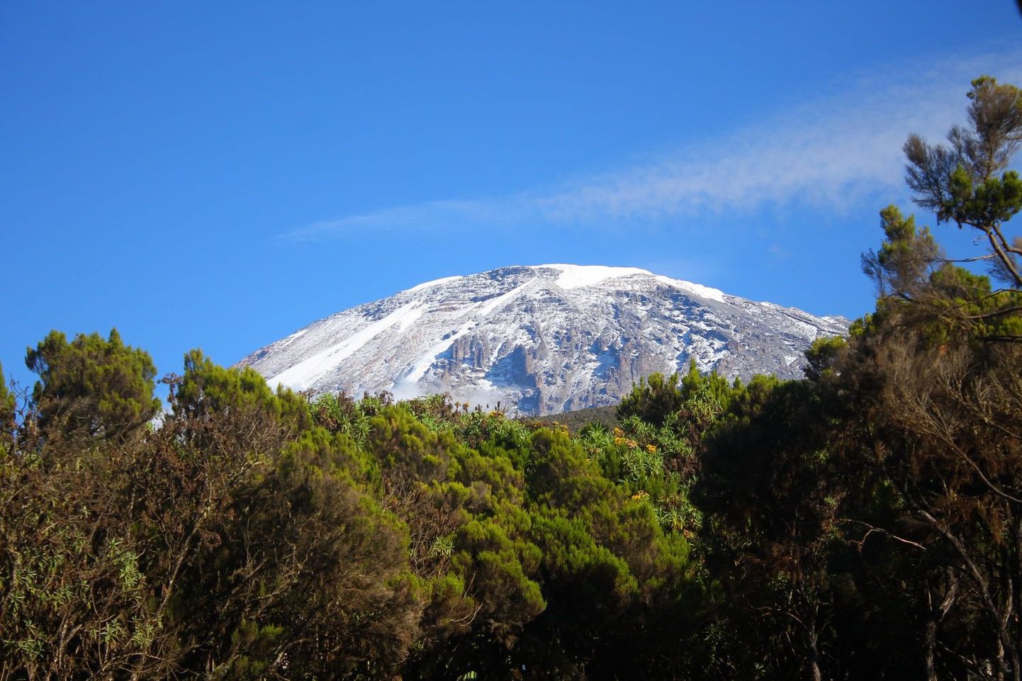 Гора Килиманджаро. Иллюстративное фото.