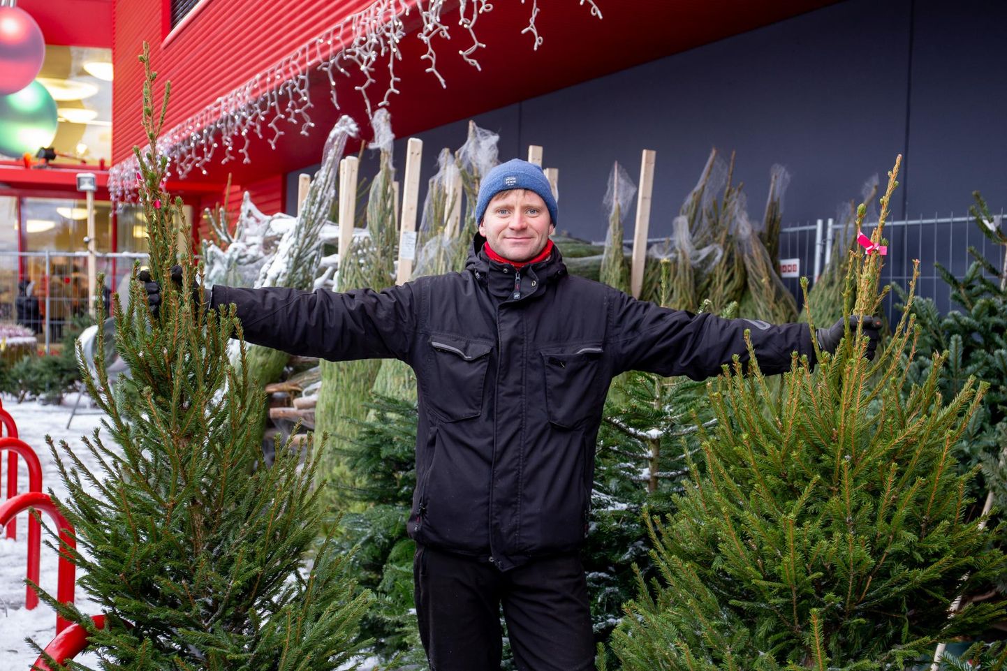 Kaubamajaka juures jõulupuudega kaupleva Raigo Rõõmussare sõnade kohaselt on kõige minevam kaup umbes kahe meetri kõrgune tiheda võraga kuusk. Niisuguse hind on ligemale 25 eurot.