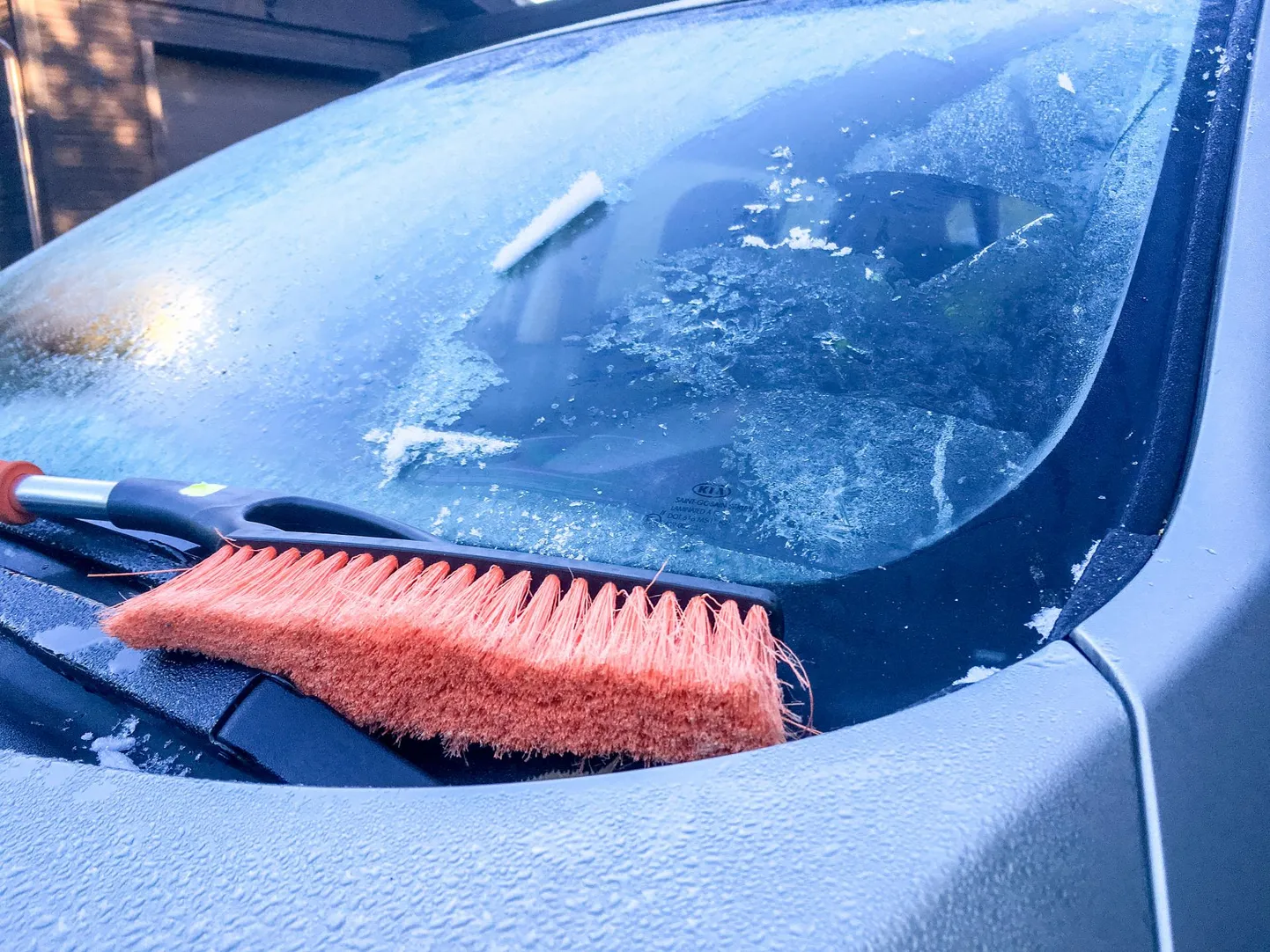 Lähiöödel võib õhutemperatuur langeda mitu pügalat alla nulli.