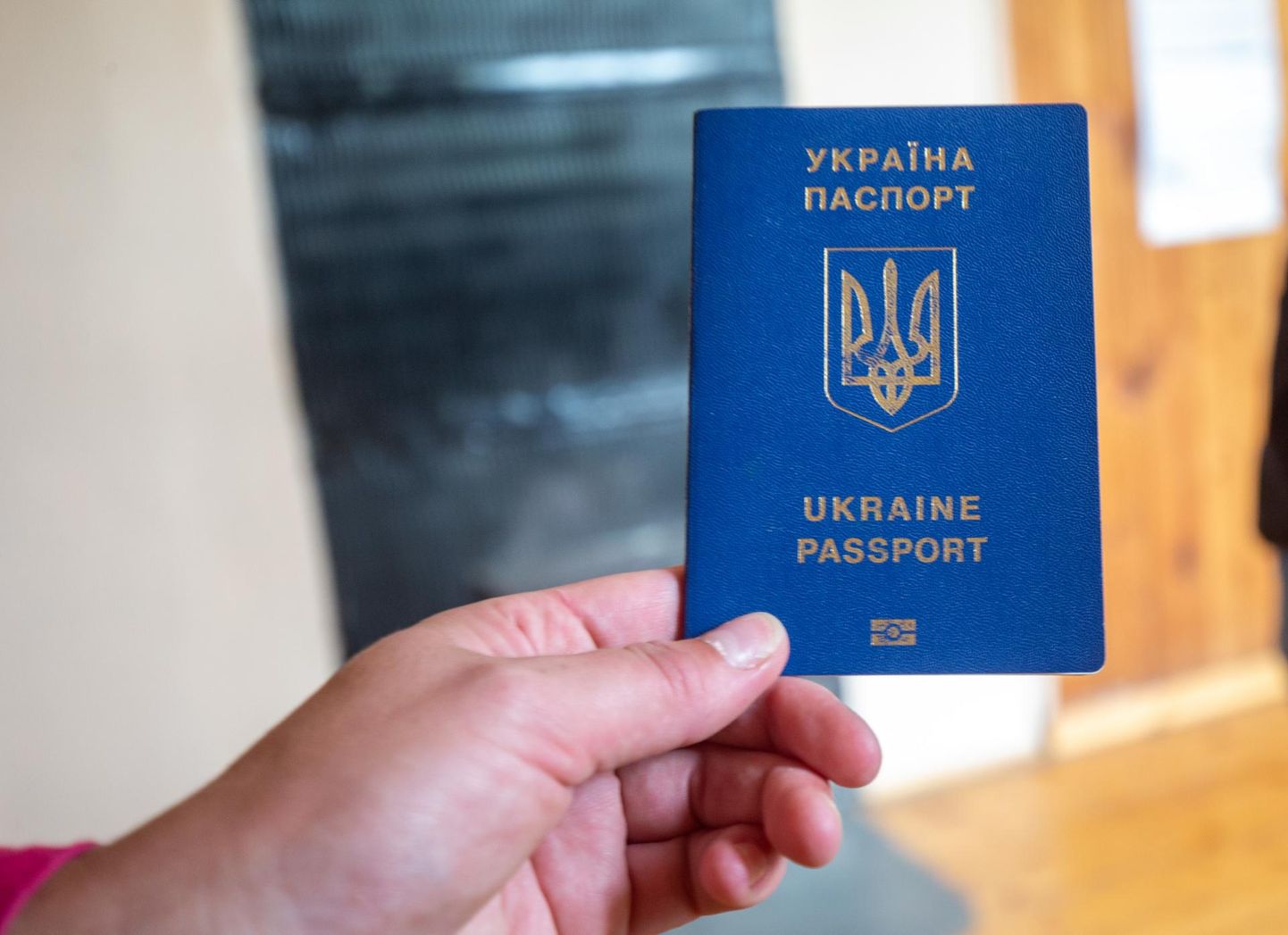 Ukraina pass.