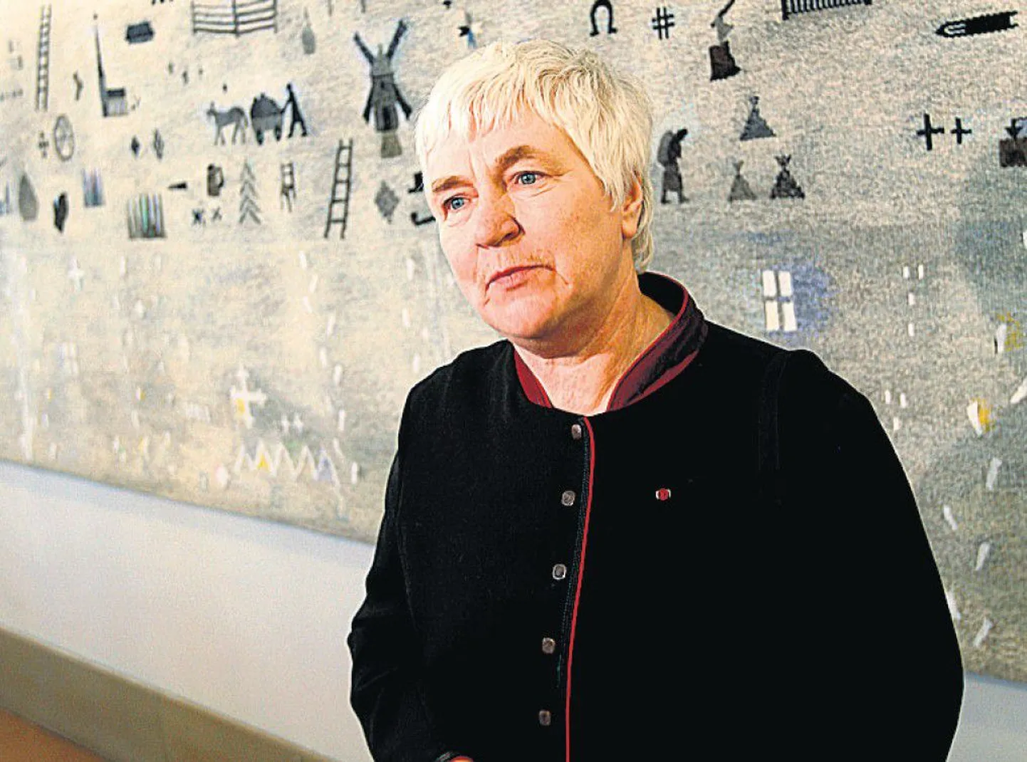 Tekstiilikunstnik Anu Raud kudus ERMi juubelivaiba sisse eesti rahva loo, mälestuskilde enda elust ja hetki vaiba pool aastat kestnud kudumisest. Pärast vaiba valmimist luges ta sellel kokku üle kolmesaja motiivi...