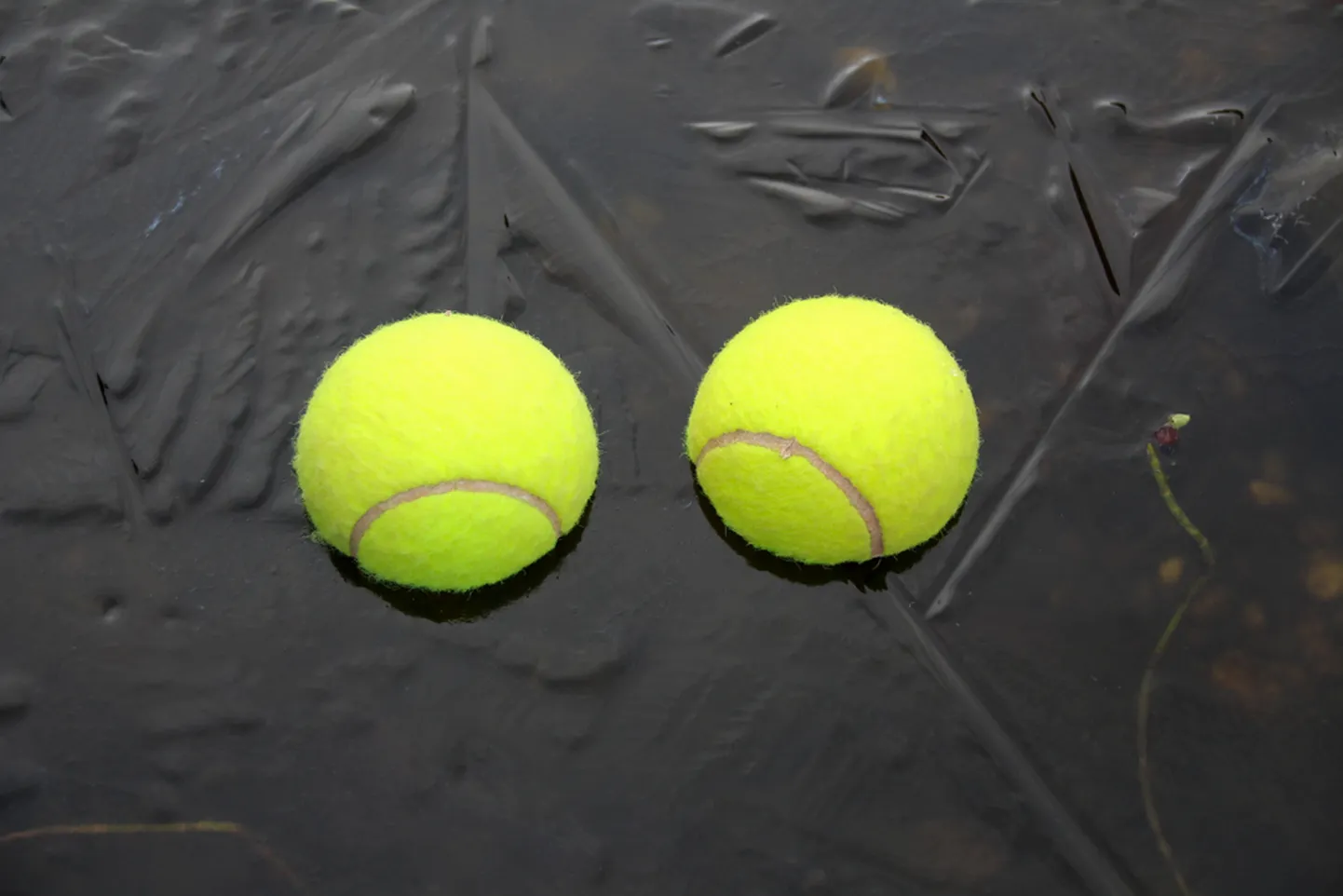 Tennisepallid