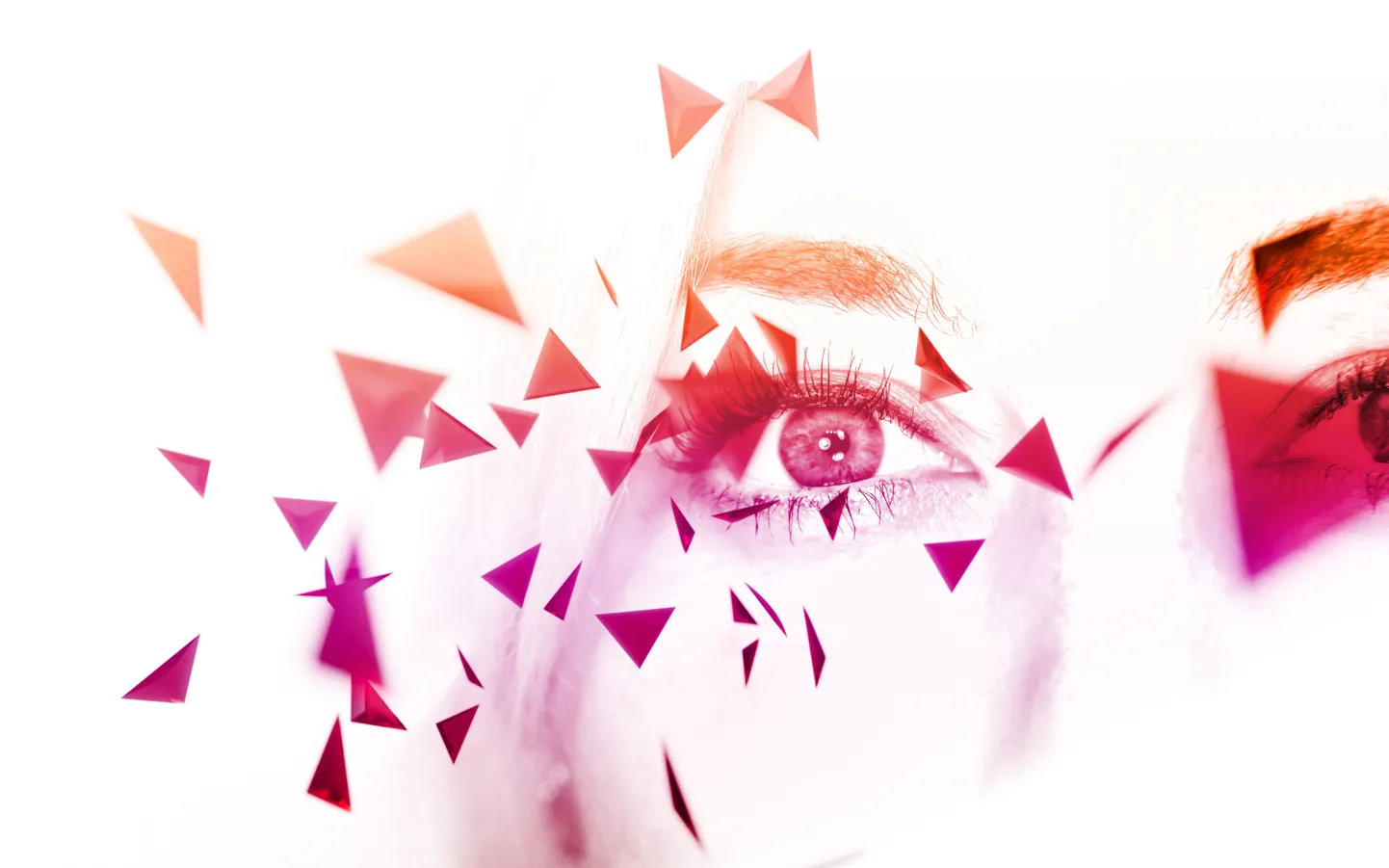 «Reflection Spectrum»